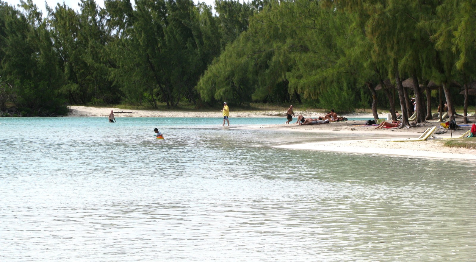 Excursion pour l'ile aux Cerfs en bateau rapide