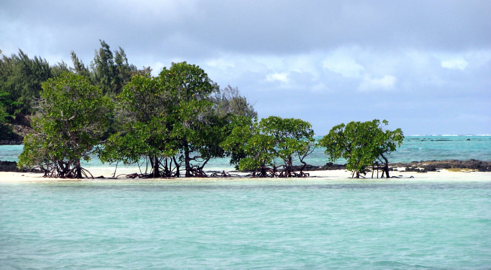 Excursion pour l'ile aux Cerfs en bateau rapide